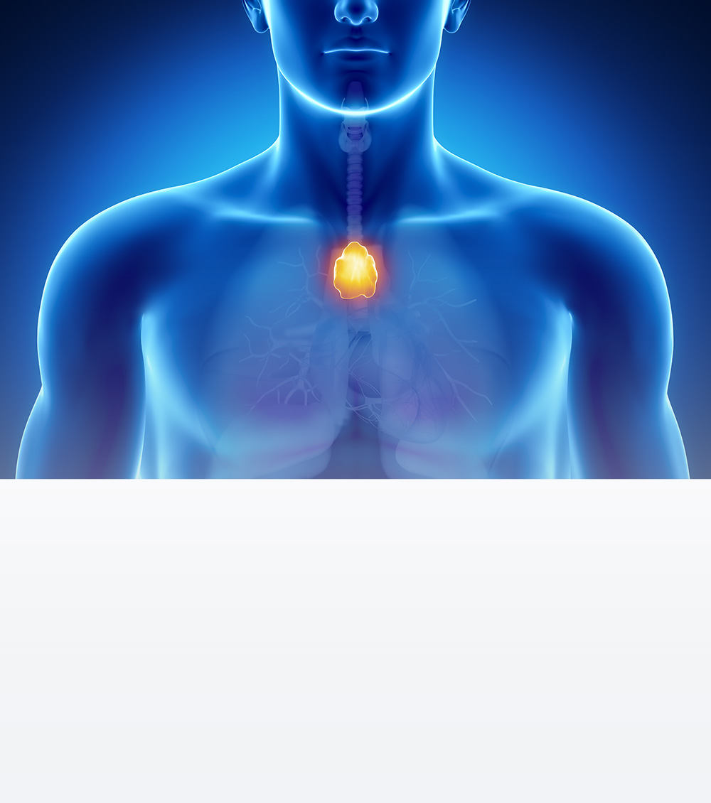 https://thangamcancercenter.com/file/wp-content/uploads/2023/11/Causes-of-Mediastinal-Cancer.jpg