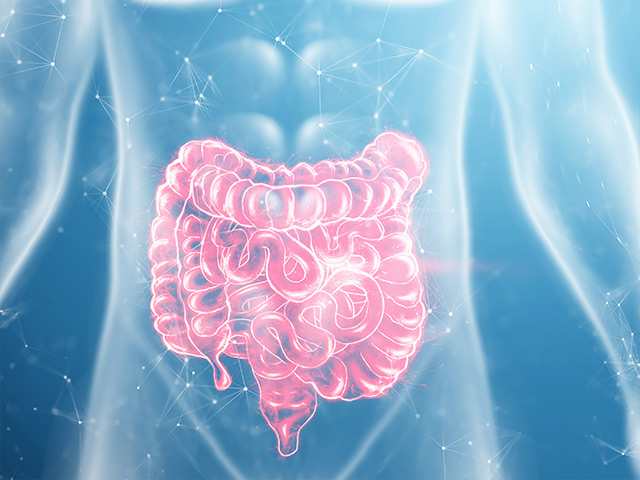 https://thangamcancercenter.com/file/wp-content/uploads/2024/07/Colorectal-Cancer.jpg