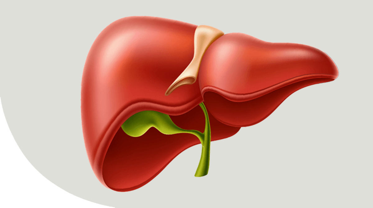 https://thangamcancercenter.com/file/wp-content/uploads/2024/07/Gall-Bladder-Cancer-1.png