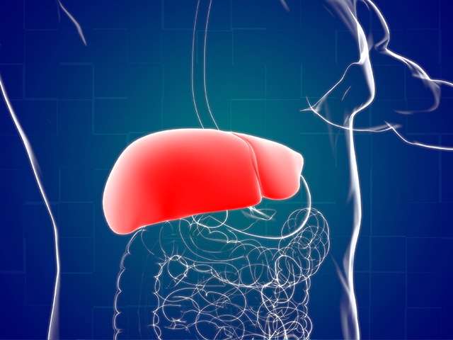 https://thangamcancercenter.com/file/wp-content/uploads/2024/07/Liver-Cancer-1-1.jpg