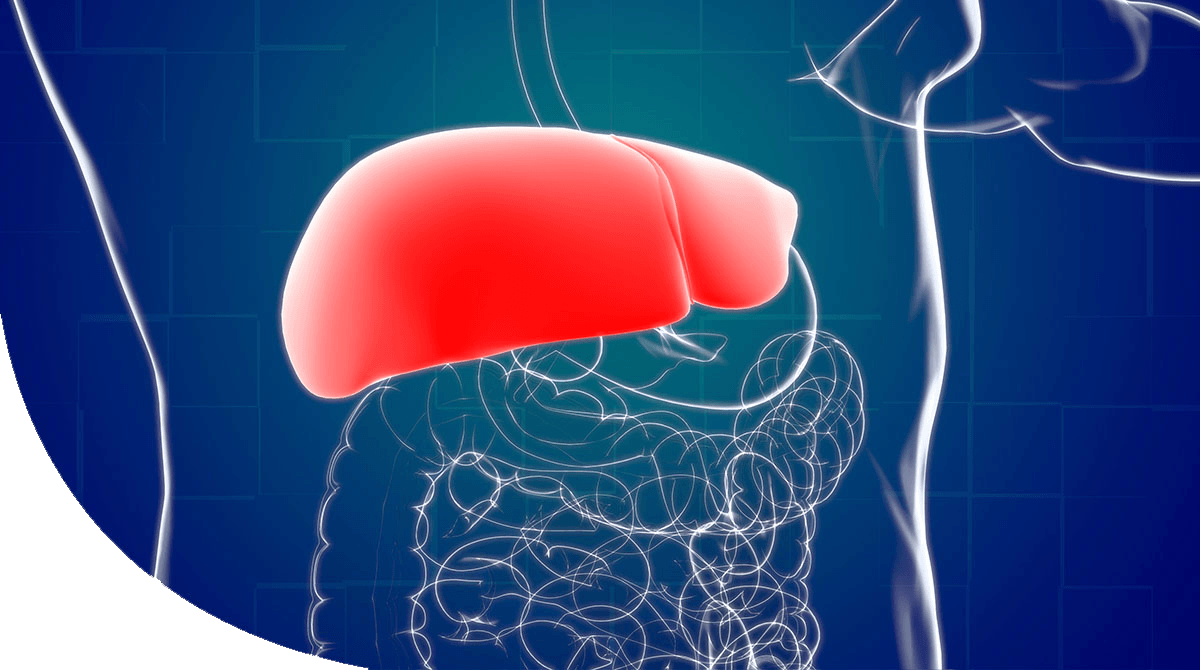 https://thangamcancercenter.com/file/wp-content/uploads/2024/07/Liver-Cancer.png