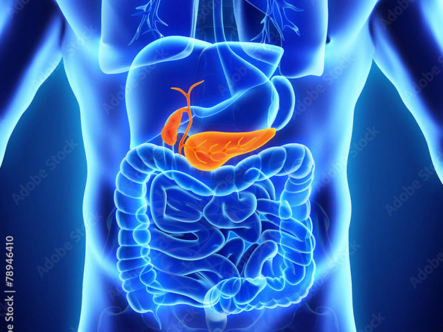 https://thangamcancercenter.com/file/wp-content/uploads/2024/07/Pancreatic-Cancer.jpg