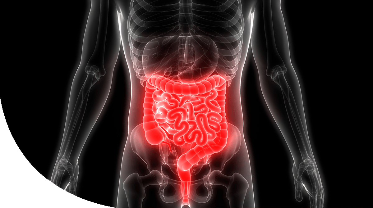 https://thangamcancercenter.com/file/wp-content/uploads/2024/07/Peritoneal-Surface-1.png