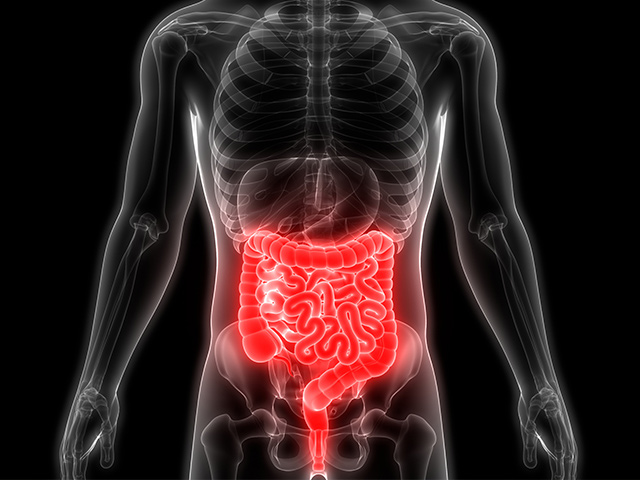 https://thangamcancercenter.com/file/wp-content/uploads/2024/07/Peritoneal-Surface-2-1.jpg