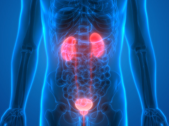 https://thangamcancercenter.com/file/wp-content/uploads/2024/07/Renal-cancer-1.jpg