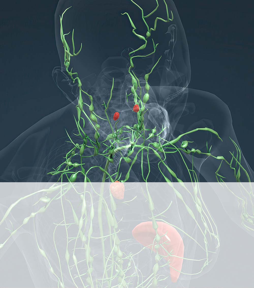 https://thangamcancercenter.com/file/wp-content/uploads/2024/07/Risk-factors-of-Lymphoma-Cancer.jpg