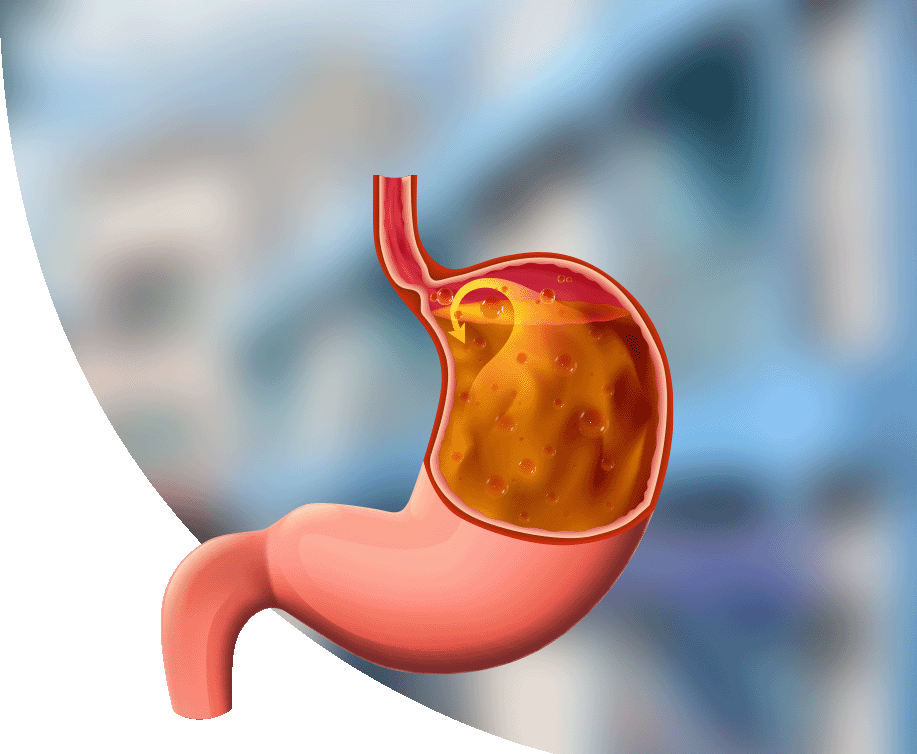 https://thangamcancercenter.com/file/wp-content/uploads/2024/07/Surgical-Gastroenterology.png