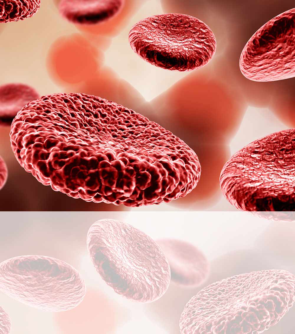 https://thangamcancercenter.com/file/wp-content/uploads/2024/07/Types-of-Leukaemia-Cancer.jpg