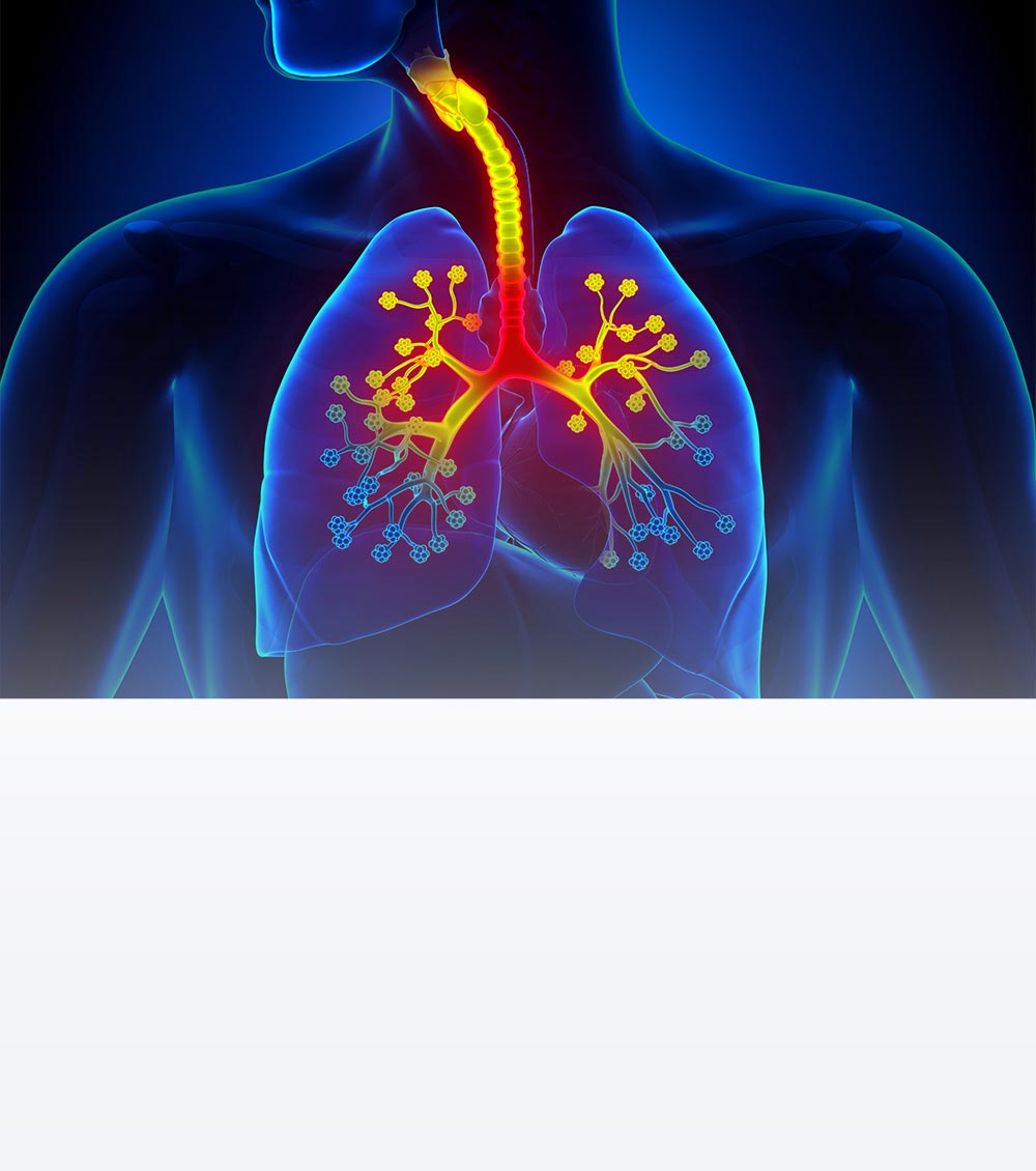 https://thangamcancercenter.com/file/wp-content/uploads/2024/07/cause-of-lung-cancer-1.jpg