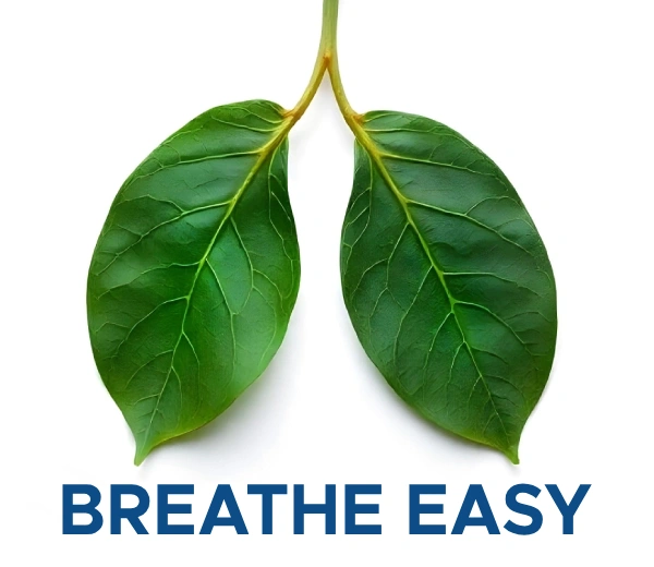 Lung cancer treatment